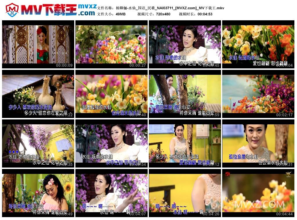 杨卿俪-水仙_国语_民歌_NAI03711